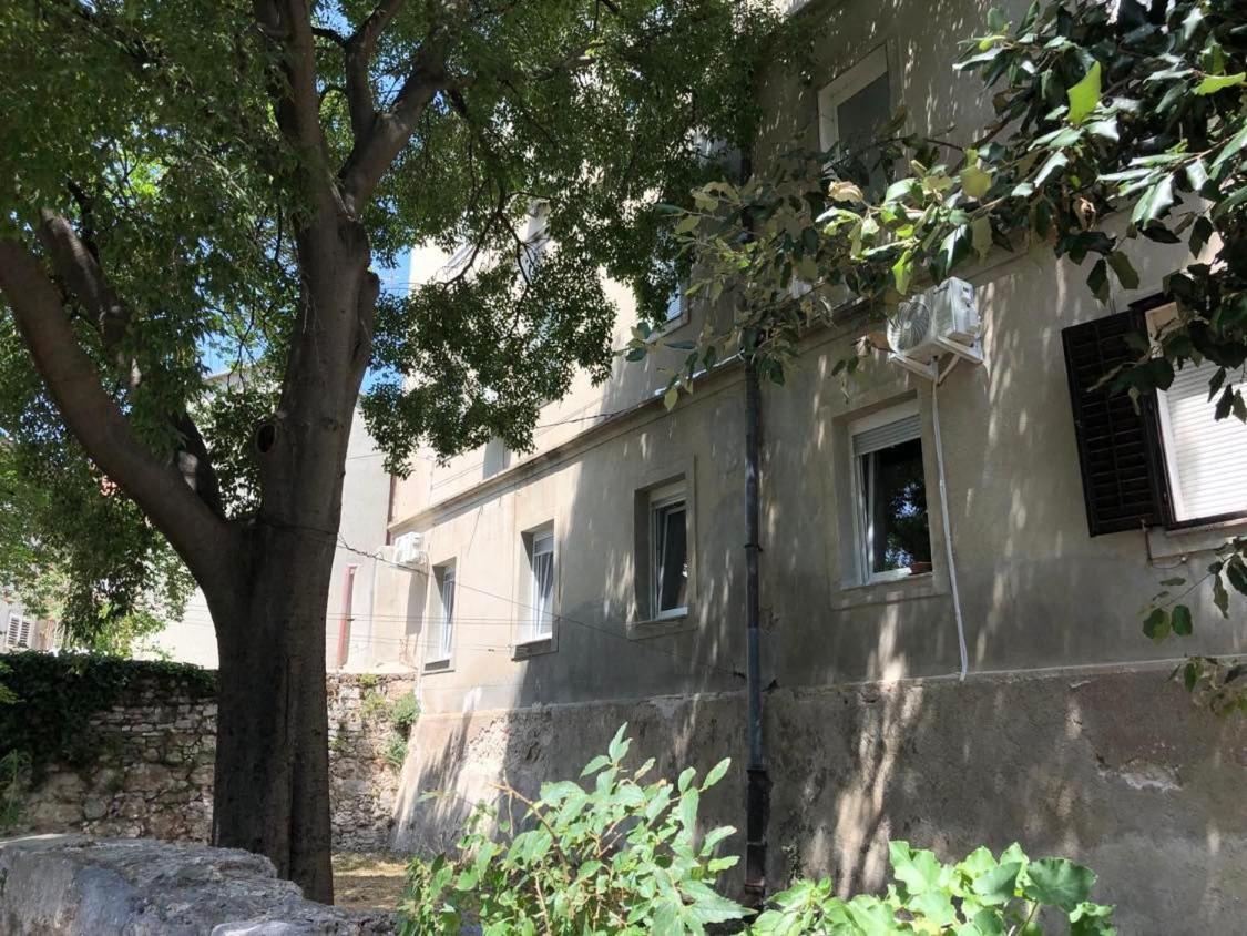 Apartament App Zora, Centar Senj Senj  Zewnętrze zdjęcie